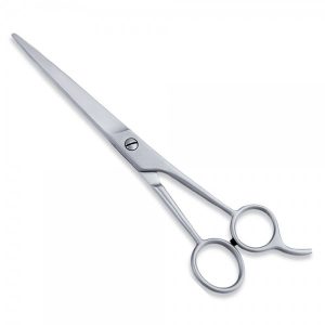 Economy Scissors