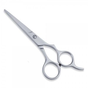 Economy Hair Scissors