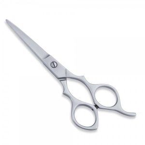 Economy Hair Scissors